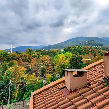 Nature Villa